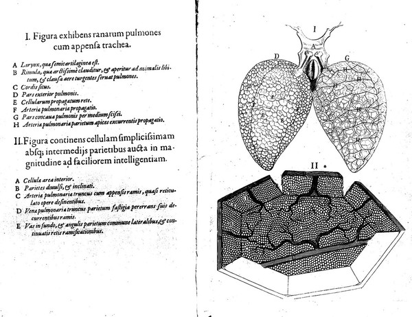 Opera omnia ... Tomis duobus comprehensa ... / [Marcello Malpighi].