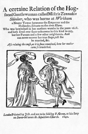 A certaine relation of the hog-faced gentlewoman called Mistris Tannakin Skinker ... borne at Wirkham ... on the river Rhyne. Who was bewitched in her mothers wombe in ... 1618 ... And can never recover her true shape, tell she be married.