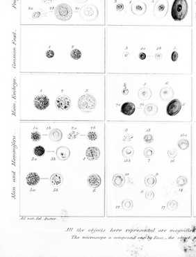 Philosophical transactions of the Royal Society of London.