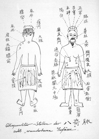 Die chinesische Medizin zu Beginn des xx. Jahrhunderts und ihr historischer Entwicklungsgang / von Fr. Hübotter.