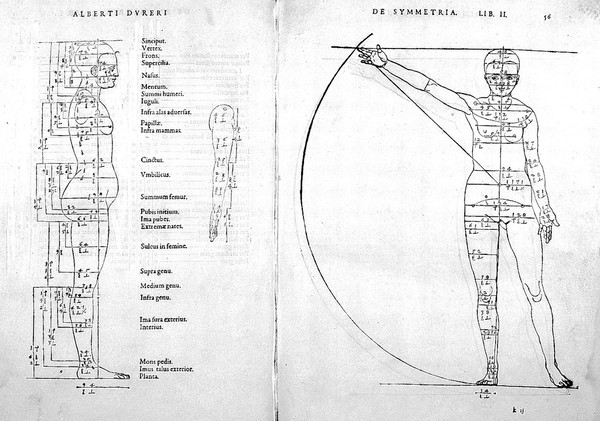 De symmetria partium humanorum corporum libri quatuor, a germanica lingua in latinam versi / [Albrecht Dürer].