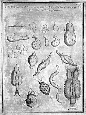 Descriptions et usages de plusieurs nouveaux microscopes, tant simples que composez : avec de nouvelles observations faites sur une multitude innombrable d'insectes, et d'autres animaux de diverses especes, qui naissent dans des liqueurs préparées, & dans celles qui ne le sont point / par L Joblot.