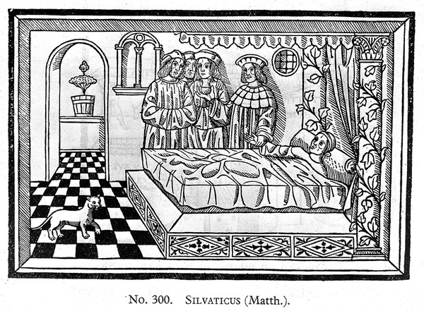 Woodcut: physician at patient's bedside.