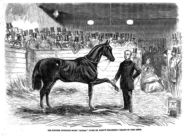 John Solomon Rarey with the stallion 'Cruiser', observed by onlookers. Wood engraving by J. Swain after J. Leech, 1858.