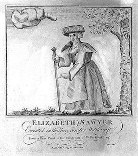 Collection of four hundred portraits of remarkable, eccentric and notorious personages printed from the original copper plates of Caulfield's Remarkable characters, Grainger, and Kirby's Wonderful museum.