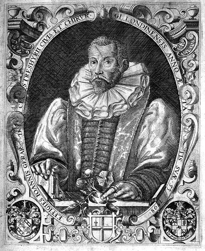 The herball or, generall historie of plantes / Gathered by John Gerarde.