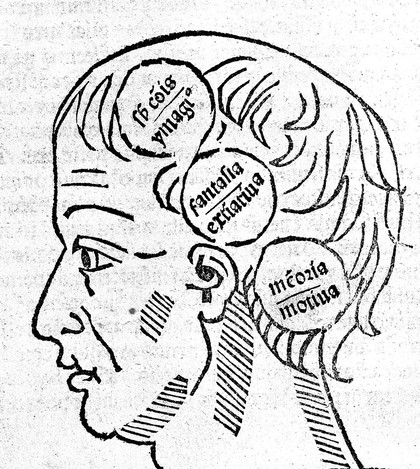 Opusculum perutile de cognitione animae et ejus potentiis / Augustini de Anchona cum quadam questione Prosperi de Regio [revisum per Alexandrum Achillinum].