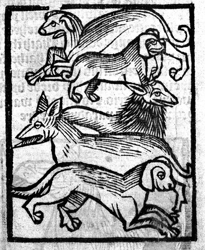 The noble lyfe & natures of man, of bestes, serpentys, fowles & fisshes yt be moste knowen / [Laurence Andrew].