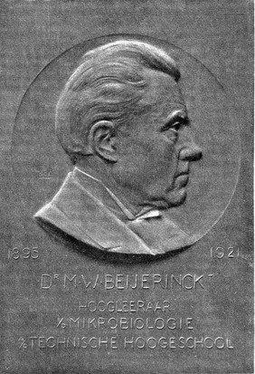 Bronze plaque of Martinus Willem Beijerinck (1851-1931)