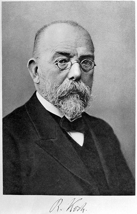 Gesammelte Werke / von Robert Koch ; unter Mitwirkung von G. Gaffky und E. Pfuhl herausgegeben von J. Schwalbe.