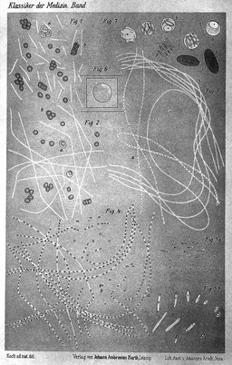 Die Ätiologie der Milzbrand-Krankheit, begründet auf die Entwicklungsgeschichte des Bacillus Anthracis (1876) / Robert Koch ; eingeleitet von M. Ficker.