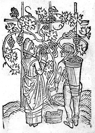 Ruralia commoda / [Petrus de Crescentiis].