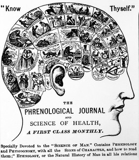 Phrenology: Chart