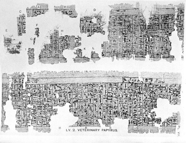 The Petrie papyri : hieratic papyri from Kahun and Gurob (principally of the middle kingdom) / [F. Ll. Griffith].