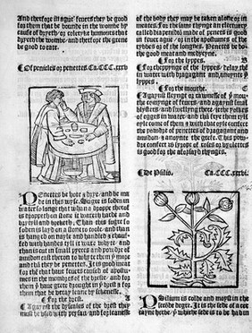 The grete herball whiche gyueth parfyt knowlege and vnderstandyng of all maner of herbes and there gracyous vertues ... Also it geveth parfyte vnderstandynge of the booke lately prynted by me (Peter treueris) named the noble experiens of the vertuous handwarke of surgery.