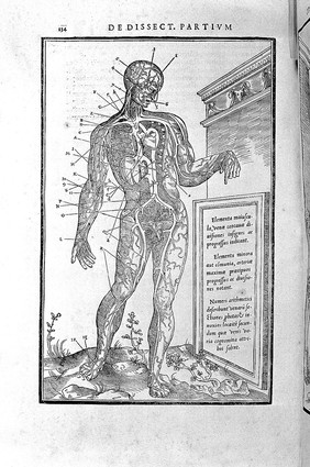 De dissectione partium corporis humani libri tres / à Carolo Stephano, ... Una cum figuris et incisionum declarationibus, a Stephano Riverio chirurgo compositis.