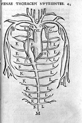 Epistola, docens venam axillarem dextri cubiti in dolore laterali secandam: et melancholicum succum ex venae portae ramis ad sedem pertinentibus, purgari / [Andreas Vesalius].