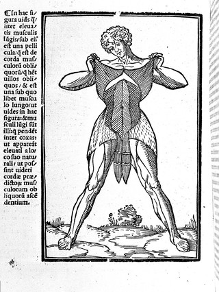 Carpi commentaria cũm amplissimis additionibus super Anatomia Mũndini vna cum textu eiusdẽm in pristinũm et verum nitorèm redacto / [Jacopo Berengario da Carpi].