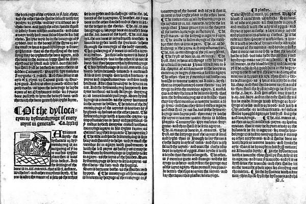 The noble experyence of the vertuous handy warke of surgeri / practysyd & compyled by the moost experte mayster Jherome of Bruynswyke borne ine Straesborowe in Almayne ye whiche hath it fyrst proved and trewly founde by his awne dayly exerycsynge ... Here also shall ye fynde for to cure & hele all wounded membres, and other swellynges ... Item here shall ye fynde also for to make salves, plasters, powders, oyles, and drynkes for woundes.