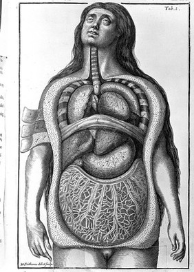 A systeme of anatomy, treating of the body of man, beasts, birds, fish, insects, and plants ... Illustrated with many schemes ... engraven in seventy four ... plates. And after every part of man's body hath been anatomically described, its diseases, cases, and cures are concisely exhibited ... / [Samuel Collins].