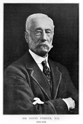 Portrait of Sir David Ferrier (1843-1928)