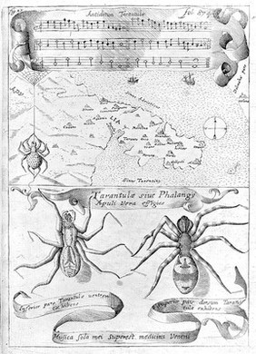 Magnes siue de arte magnetica opvs tripartitvm. Quo praeterqvam qvod vniversa magnetis natura, eiusque in omnibus artibus et scientijs vsus noua methodo explicetur, è viribus quoque et prodigiosis effectibus magneticarum, aliarumque abditarum naturae motionum in elementis, lapidibus, plantis et animalibus elucescentium, multa hucusque incognita naturæ arcana per physica, medica, chymica et mathematica omnis generis experimenta recluduntur / [Athanasius Kircher].