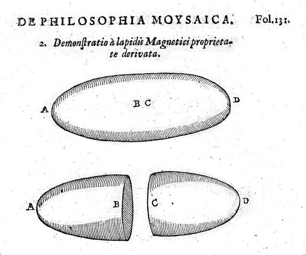Philosophia Moysaica. In qua sapientia et scientia creationis et creaturarum sacra veréque Christiana (vt pote cujus basis sive fundamentum est unicus ille Lapis Angularis Iesus Christus) ad amussim et enucleaté explicatur / Authore Rob. Flud, alias De Fluctibus.