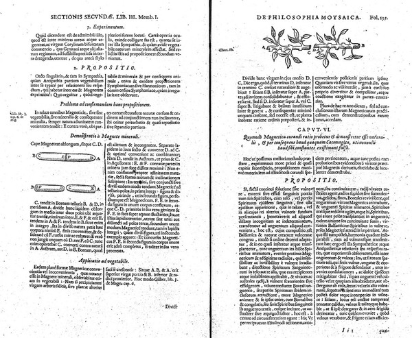 Philosophia Moysaica. In qua sapientia et scientia creationis et creaturarum sacra veréque Christiana (vt pote cujus basis sive fundamentum est unicus ille Lapis Angularis Iesus Christus) ad amussim et enucleaté explicatur / Authore Rob. Flud, alias De Fluctibus.