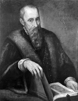 John Caius, physician. Oil painting, 18--(?).