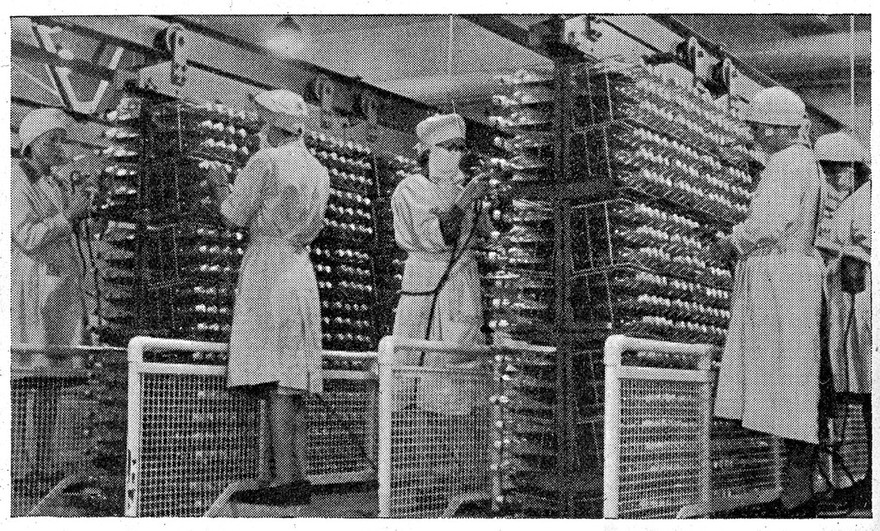 Inoculation room.