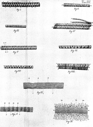 Traité sur le vénin de la vipere, sur les poisons americains, sur le laurier-cerise et sur quelques autres poisons végetau / [Tr. by J. d'Arcet.] On y a joint des observations sur la structure primitive du corps animal. Différentes expériences sur la reproduction des nerfs, et la description d'un nouveau canal de l'œil. Par M.r Felix Fontana ... [Ed. by J. Gibelin].