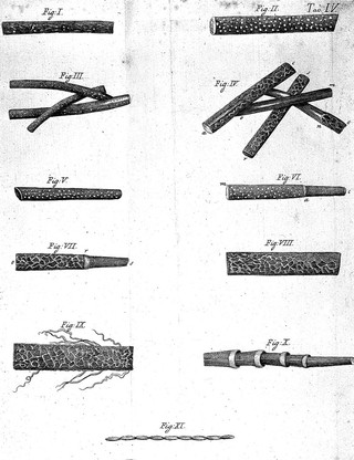 Traité sur le vénin de la vipere, sur les poisons americains, sur le laurier-cerise et sur quelques autres poisons végetau / [Tr. by J. d'Arcet.] On y a joint des observations sur la structure primitive du corps animal. Différentes expériences sur la reproduction des nerfs, et la description d'un nouveau canal de l'œil. Par M.r Felix Fontana ... [Ed. by J. Gibelin].