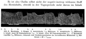 view O. Loewi showing incresing acetylcholine production and continued vagal stimulation