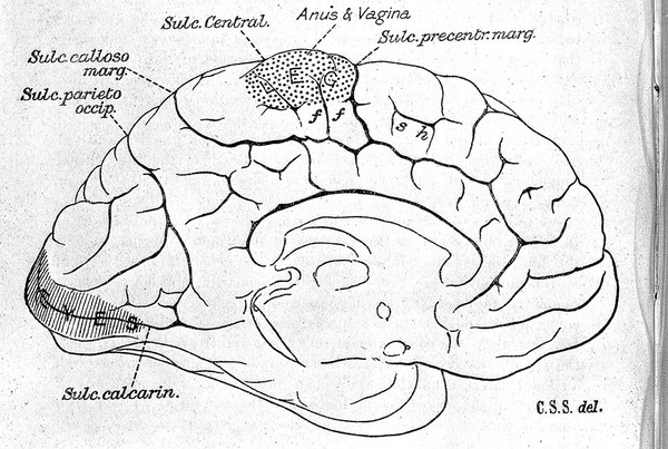 Proceedings of the Royal Society of London.