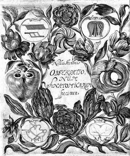 De musculis et glandulis observationum specimen. Cum epistolis duabus anatomicis / [Nicolaus Steno].