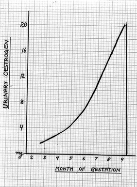 Chart showing urinary oestrogen present during pregnancy.