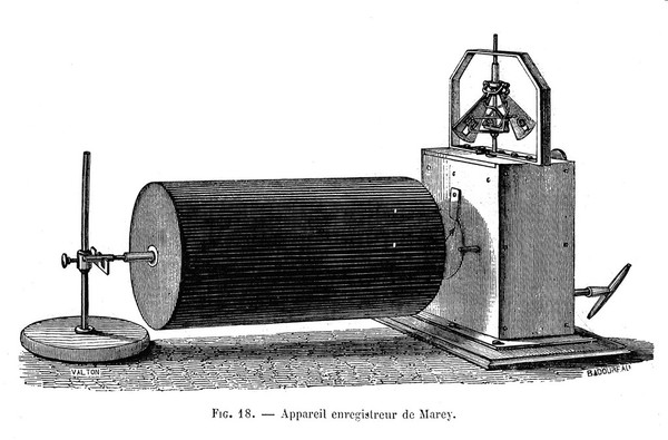 Leçons sur la physiologie comparée de la respiration : professées au Muséum d'histoire naturelle / par Paul Bert.