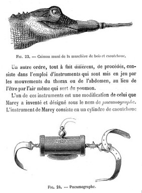 Leçons sur la physiologie comparée de la respiration : professées au Muséum d'histoire naturelle / par Paul Bert.