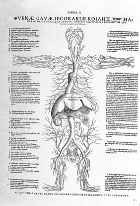 Tabulae anatomicae sex = six anatomical tables / [Vesalius].