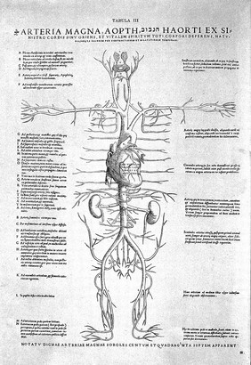 Tabulae anatomicae sex = six anatomical tables / [Vesalius].