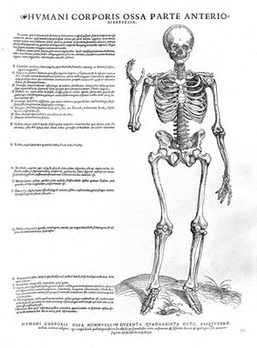 Tabulae anatomicae sex = six anatomical tables / [Vesalius].