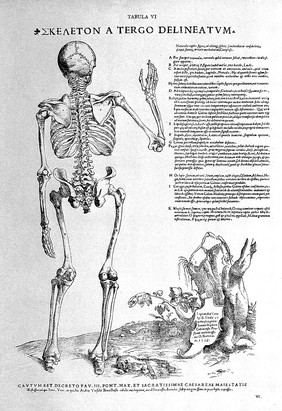 Tabulae anatomicae sex = six anatomical tables / [Vesalius].