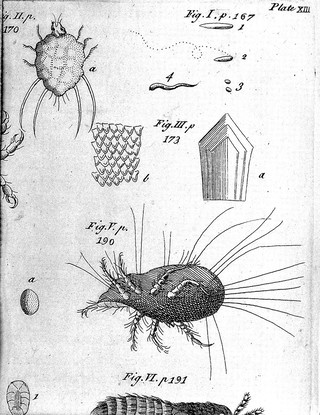 The microscope made easy: or, I. The nature, uses and magnifying powers of the best kinds of microscopes ... II. An account of what surprizing discoveries have been already made by the microscope / By Henry Baker.