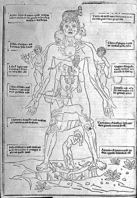 Fasciculus medicine ... tractans de anothomia et diversis infirmitatibus, et corporis humani: cui annectuntur multi alii tractatus per diversos excellentissimos doctores compositi. Necnon Anothomia Mundini / [Joannes de Ketham].