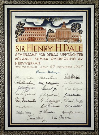 Nobel prize awarded to Henry Dale in 1936