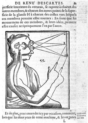 L'homme ... et un traitté de la formation du fœtus. Du mesme autheur / Avec les remarques de Louys de la Forge ... sur le traitté de l'homme.