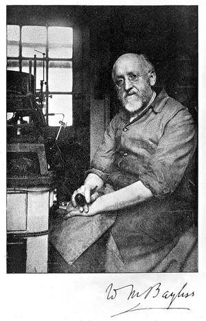 view Photograph: portrait of Sir William Bayliss, seated with pipe in right hand, in laboratory.