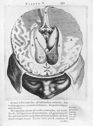 Anatomia, ex Caspari Bartolini parentis Institutionibus, omniumque recentiorum et propriis observationibus tertiùm ad sanguinis circulationem reformata. Cum iconibus novis accuratissimis: accessit huic postremæ editioni Th. Bartholini, appendix de lacteis thoracicis et vasis lymphaticis / [Thomas Bartholin].