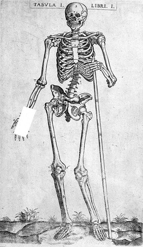 Anatomie, oft levende beelden vande deelen des menschelicken lichaems: met de verclaringhe van dien, inde Neder-duytsche spraecke / [Juan Valverde].