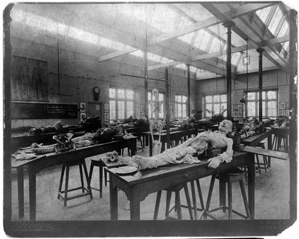 The interior of the Department of Anatomy at Cambridge University. Photograph by Stearn Photos, 1888/1893.